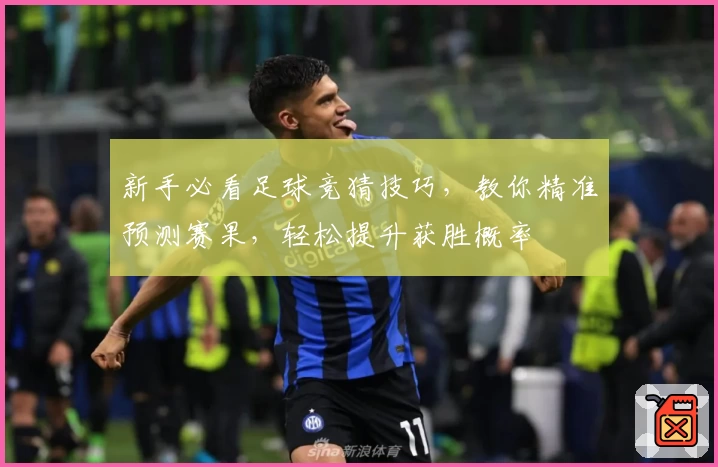 新手必看足球竞猜技巧，教你精准预测赛果，轻松提升获胜概率