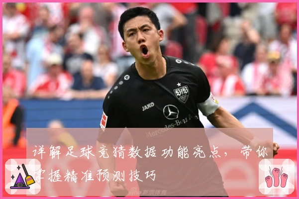 详解足球竞猜数据功能亮点，带你掌握精准预测技巧
