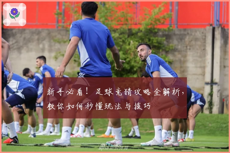 新手必看！足球竞猜攻略全解析，教你如何秒懂玩法与技巧