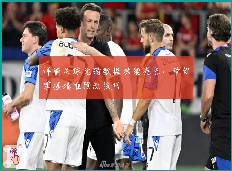 详解足球竞猜数据功能亮点，带你掌握精准预测技巧